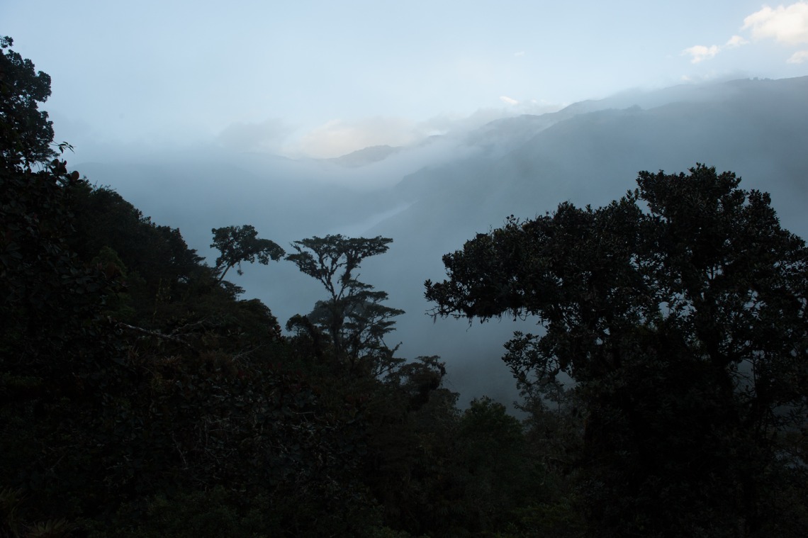 When in Drought: Researchers Map Which Parts of the Amazon Are Most Vulnerable to Climate Change