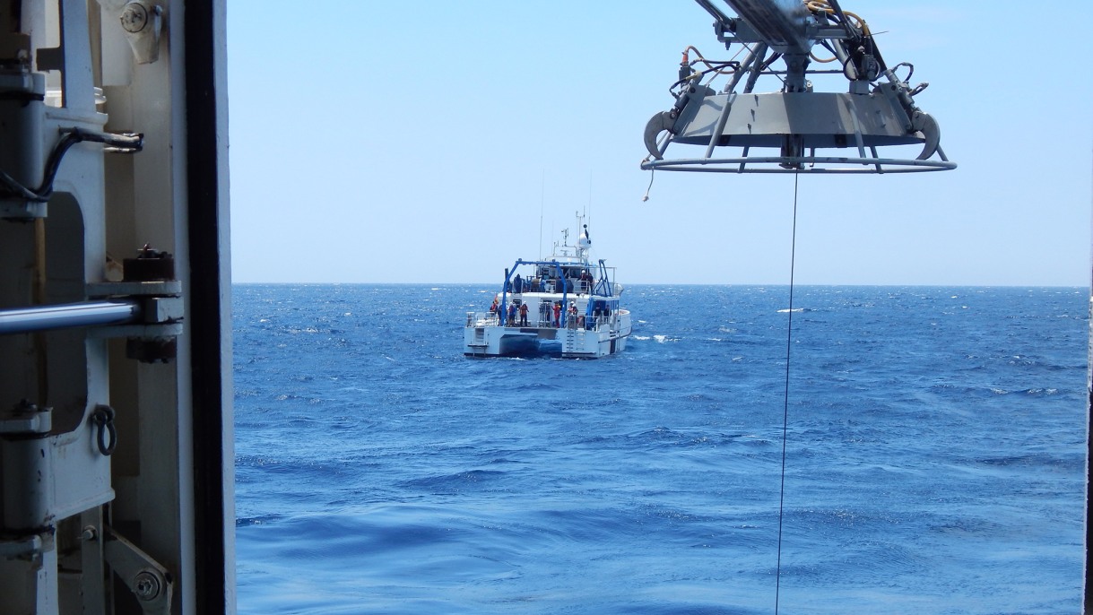 For Microscopic Organisms, Ocean Currents Act as 'Expressway' to Deeper Depths, Study Finds