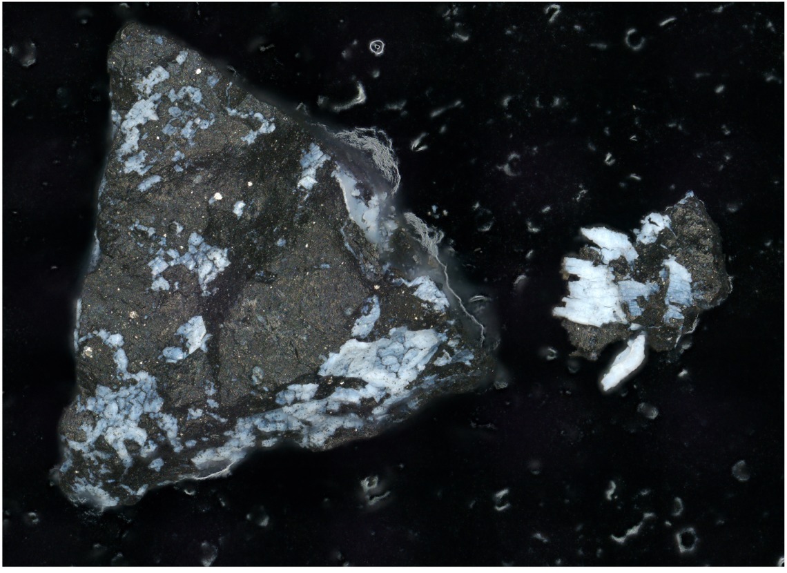 Bennu Holds the Solar System's 'original Ingredients,' Might Have Been Part of a Wet World