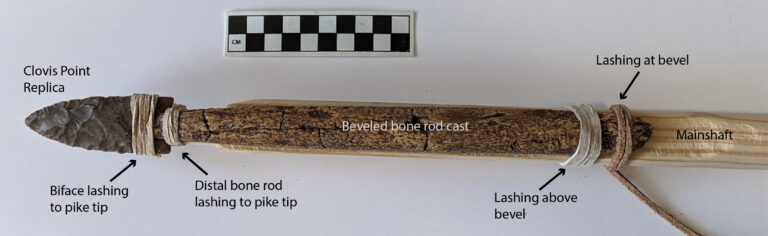 "To Kill Mammoths in the Ice Age, People Used Planted Pikes, Not Throwing Spears"