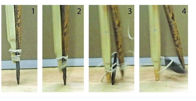 "To Kill Mammoths in the Ice Age, People Used Planted Pikes, Not Throwing Spears"