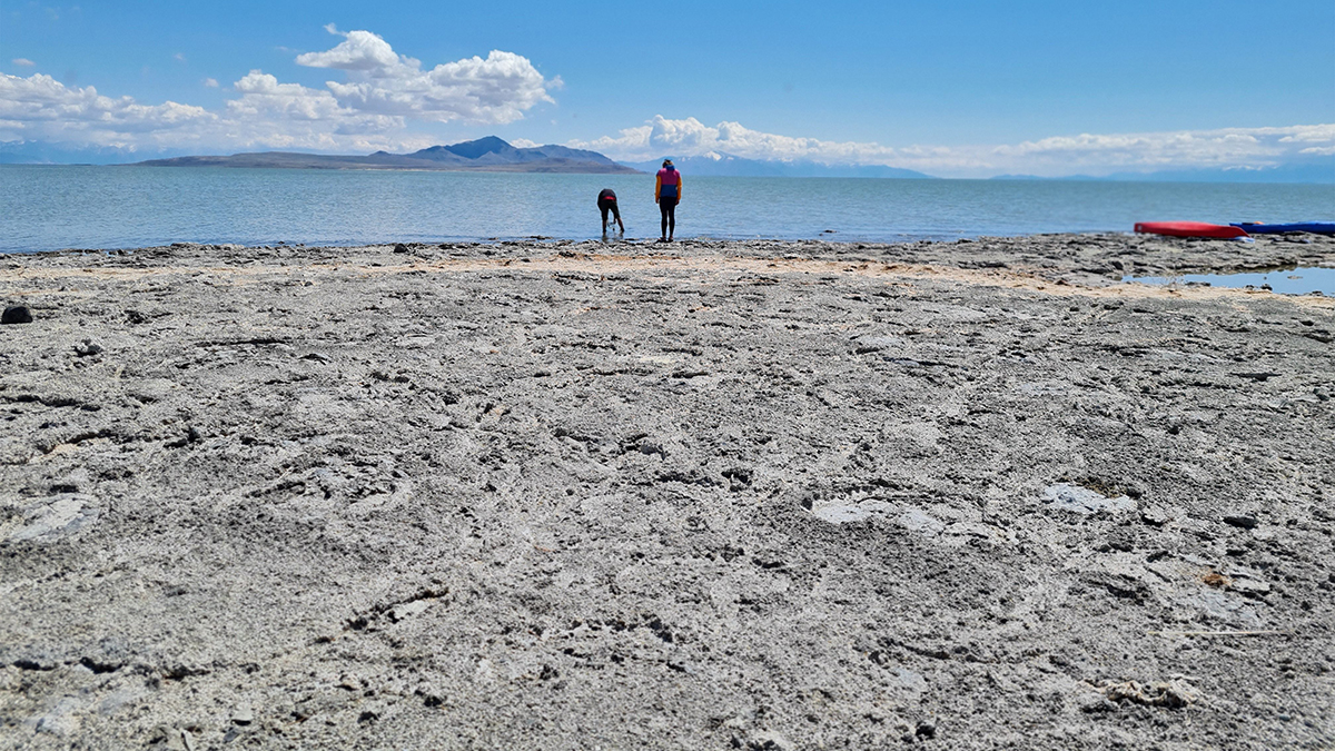 Airborne Dust From Great Salt Lake Playa Has Bigger Impact on Communities of Color