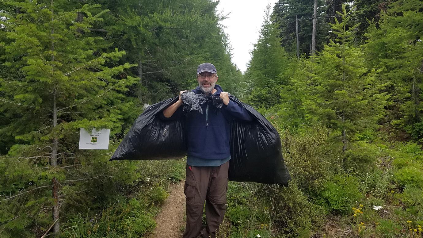 Ecologist Tracks How Insects Can Devastate Forests—and How to Stop Them