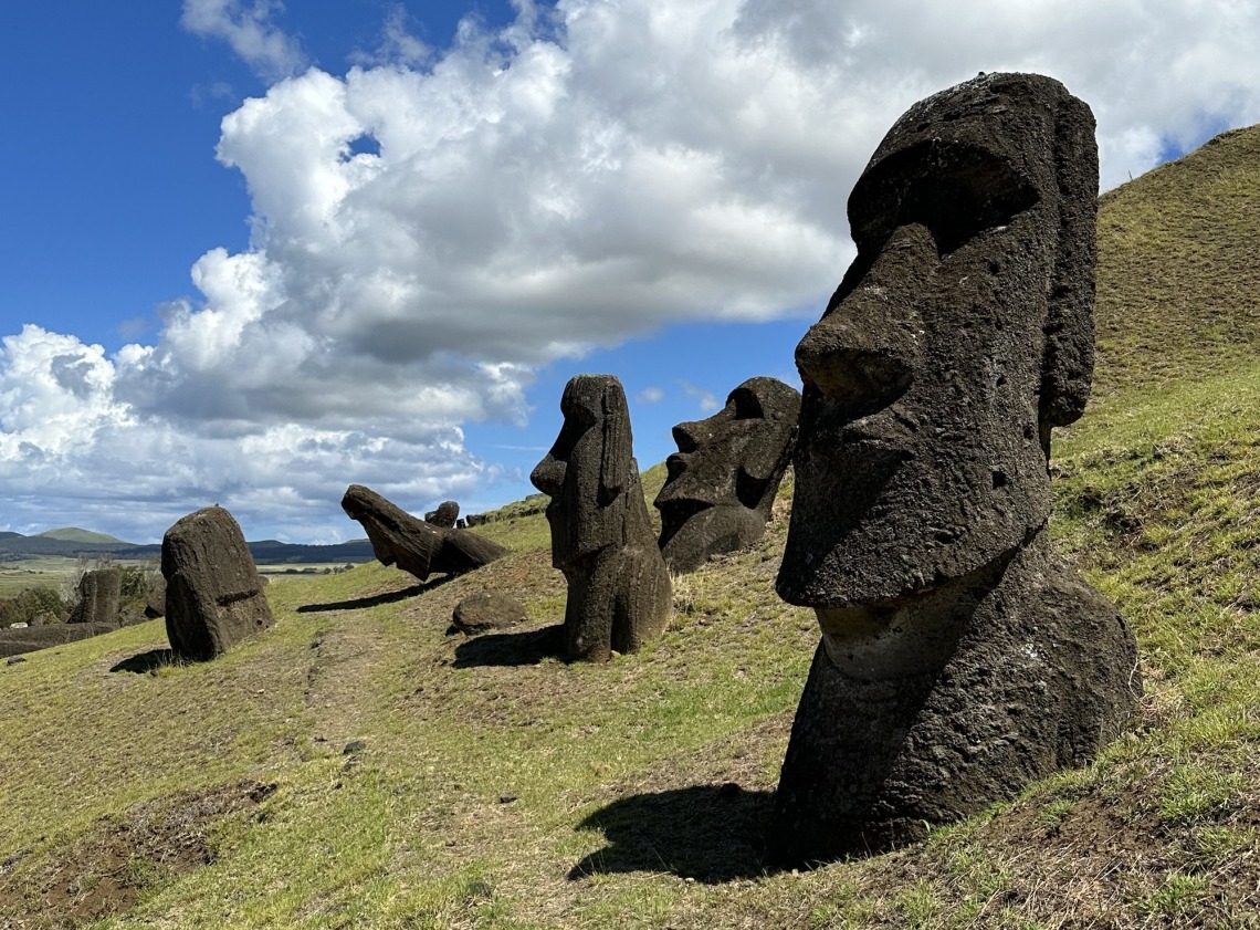 Study Challenges Popular Idea That Easter Islanders Committed 'Ecocide'