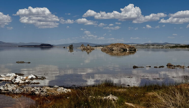 "Creature the Size of a Dust Grain Found Hiding in California’s Mono Lake"