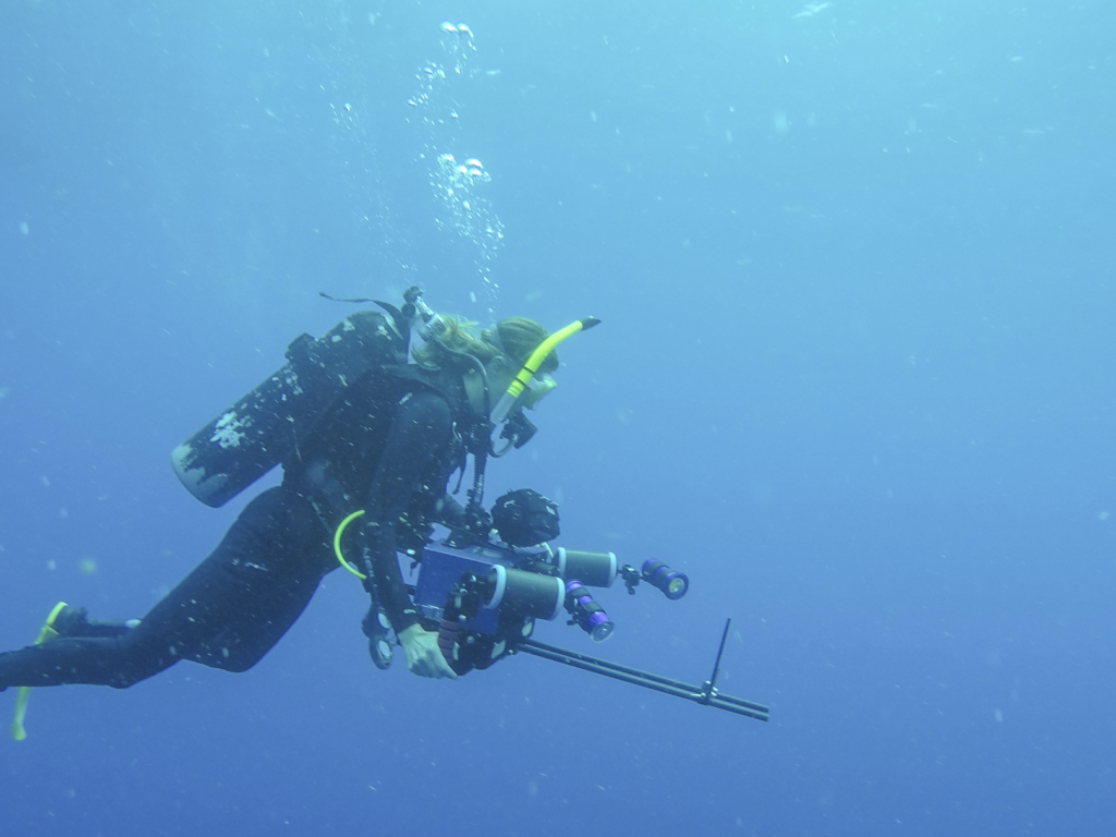 Better Underwater Vehicle Design Courtesy of a Transparent Plankton
