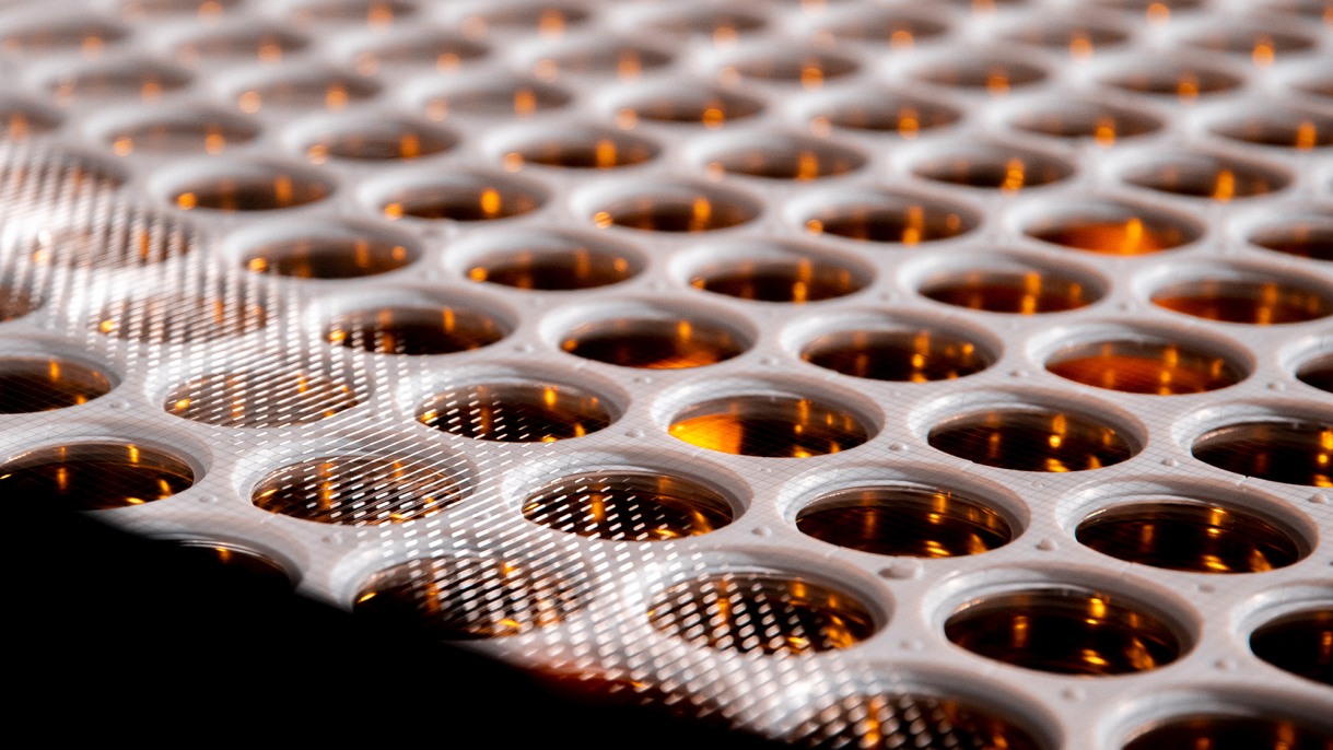 Advancing the Quest for Dark Matter: New Insights From the LUX-ZEPLIN Experiment