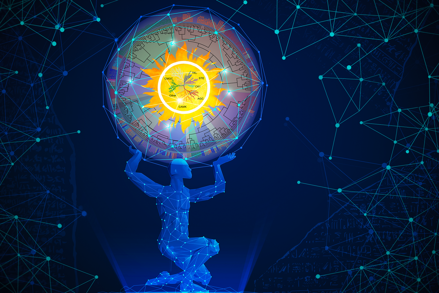 “Rosetta Stone” of Cell Signaling Could Expedite Precision Cancer Medicine