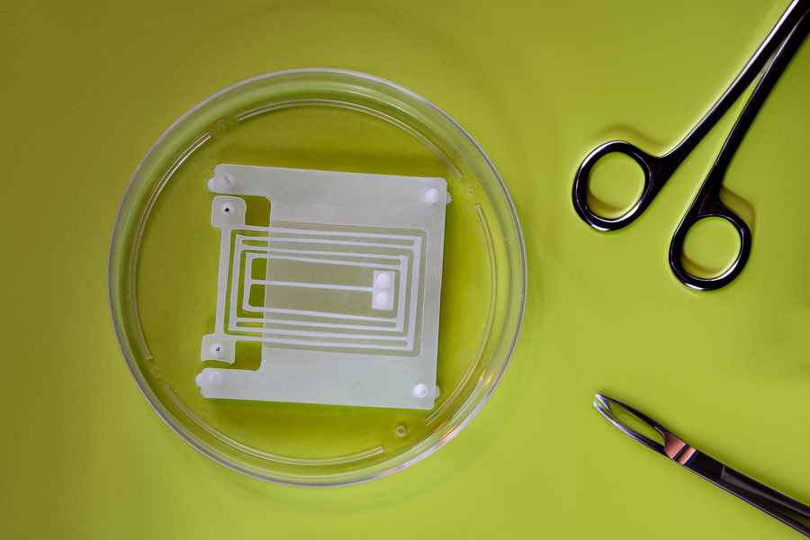 MIT Engineers Design Flexible “Skeletons” for Soft, Muscle-Powered Robots