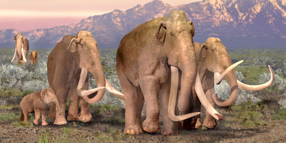 To Kill Mammoths in the Ice Age, People Used Planted Pikes, Not Throwing Spears
