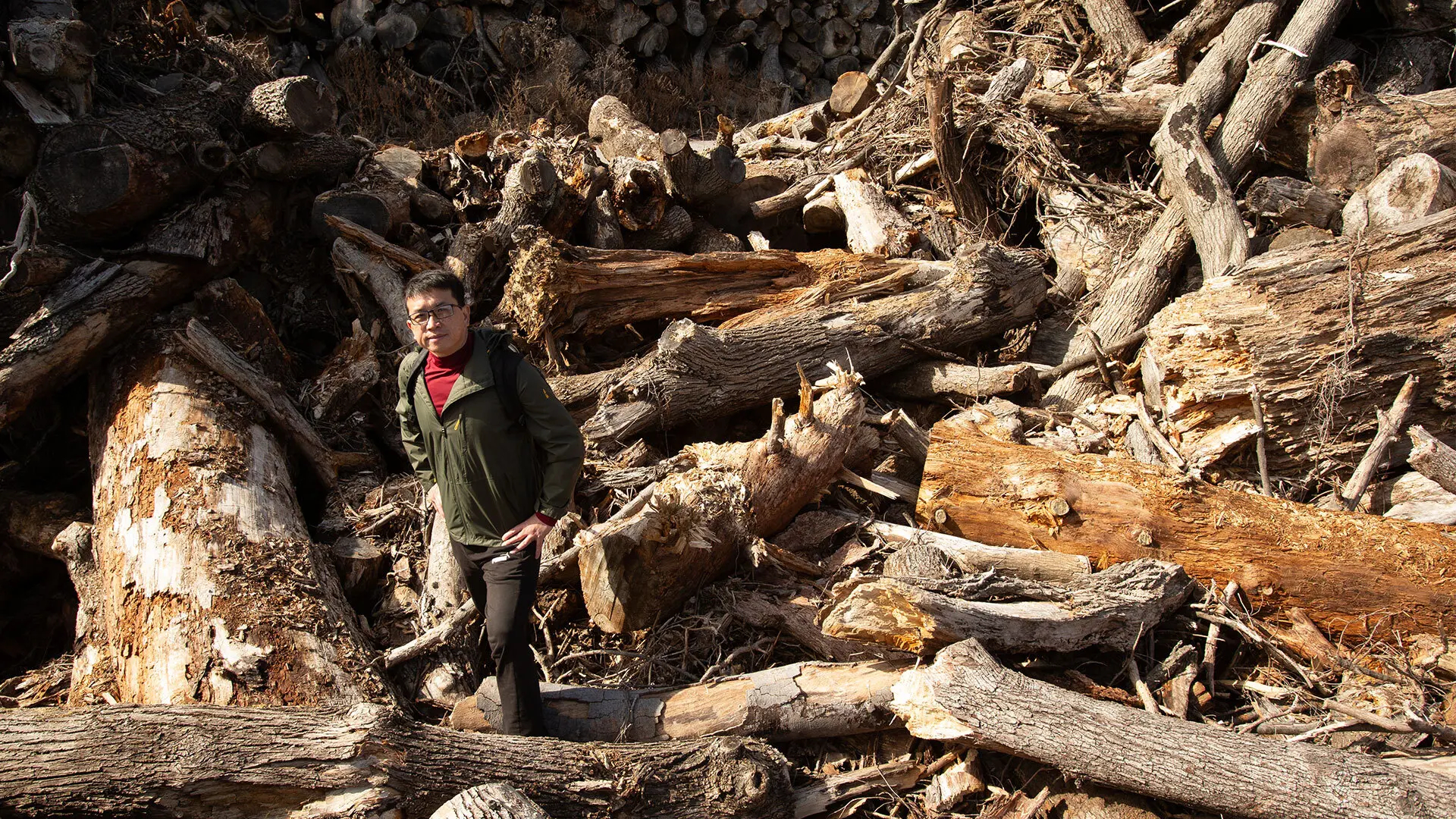 A Professor’s Discovery of a Nearly 4,000-Year-Old Buried Log Suggests a New Climate Change Solution