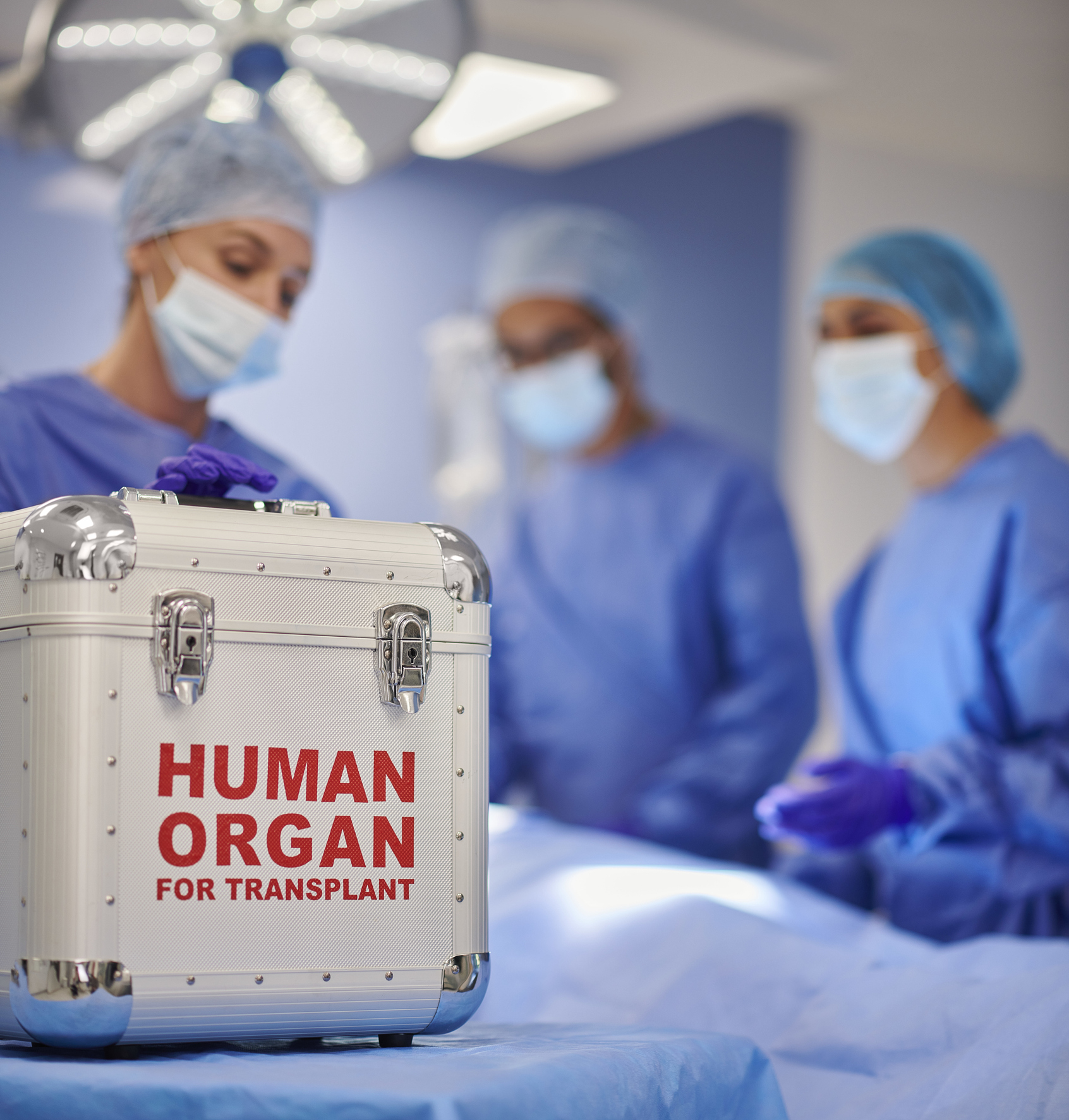 New Research Supports Expansion of Kidney Donation to Include Organs from Deceased Patients Who Once Had Dialysis