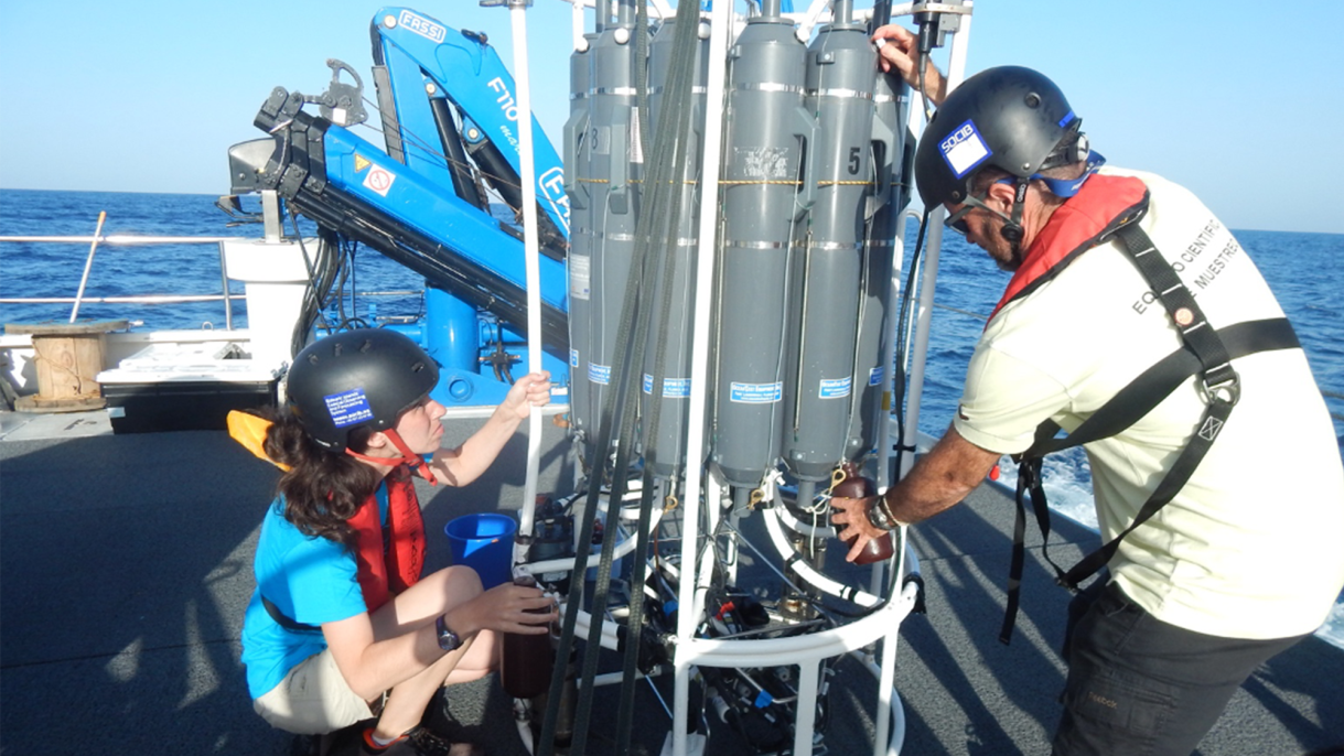 "For Microscopic Organisms, Ocean Currents Act as 'Expressway' to Deeper Depths, Study Finds"