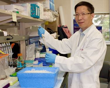 "New gene therapy approach shows promise for Duchenne muscular dystrophy"