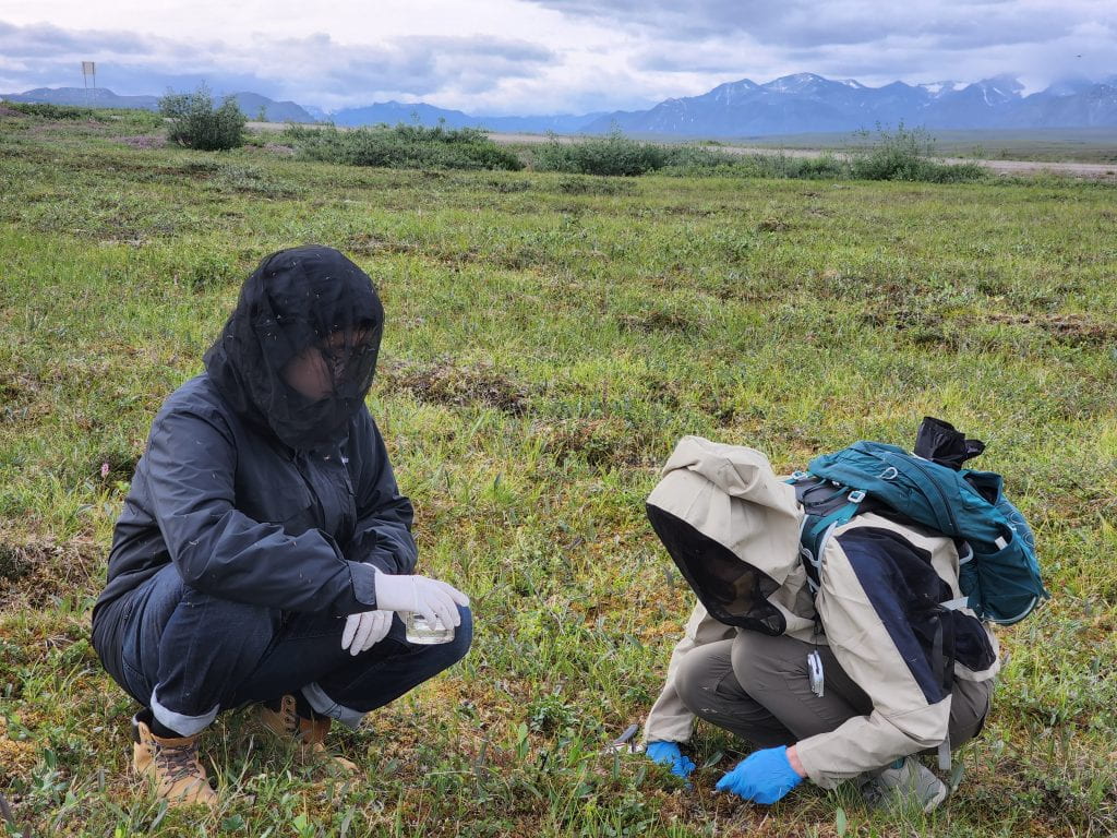 "UC Irvine Researchers Shine Light on Rapid Changes in Arctic and Boreal Ecosystems"