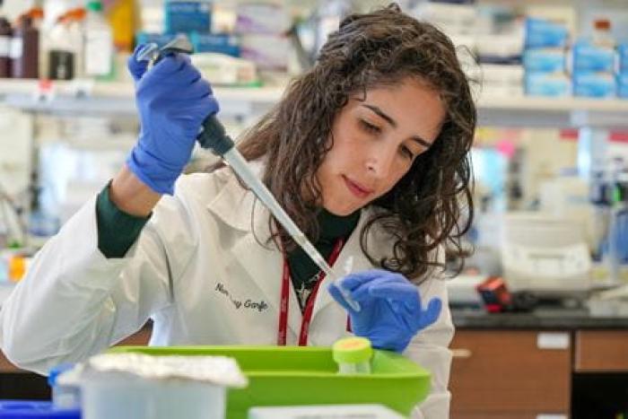 Key Mechanisms in Asymptomatic Alzheimer’s Disease Brains May Protect Against Cognitive Decline