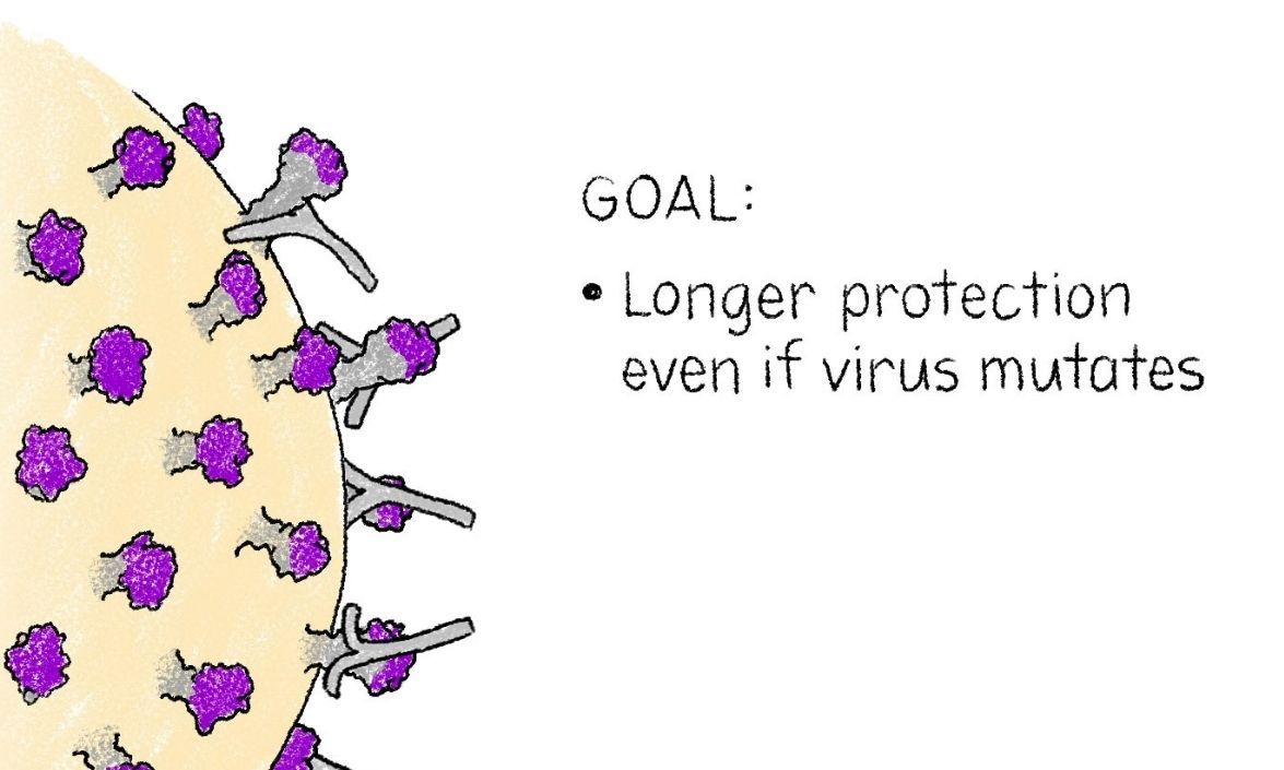 New Strategy Could Lead to Universal, Long-Lasting Flu Shot