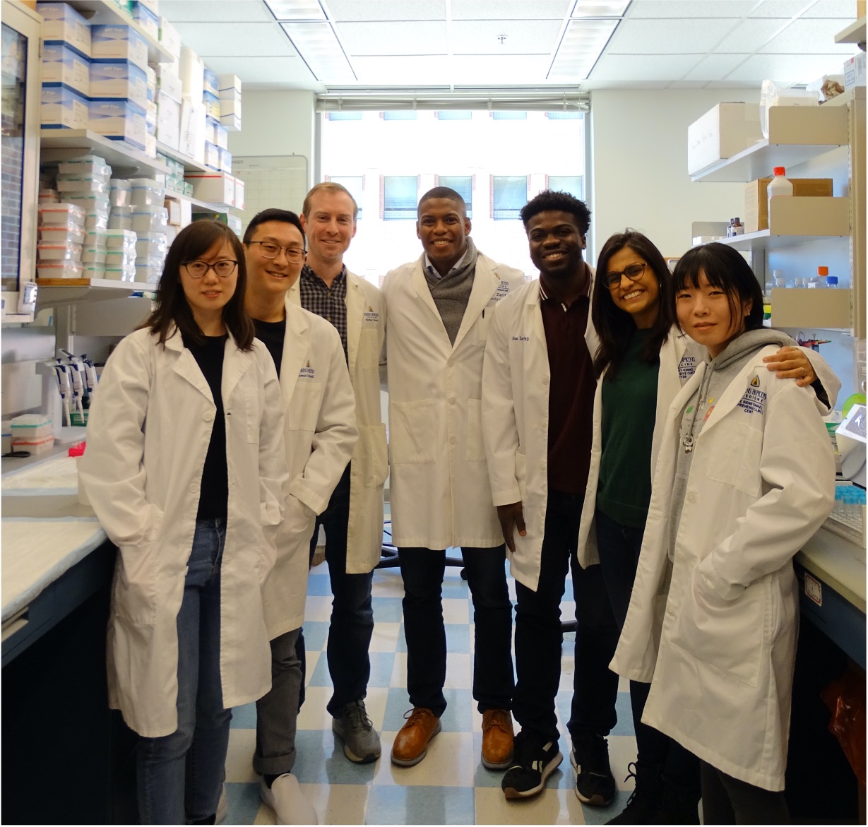 Drug Helps Reprogram Macrophage Immune Cells, Suppress Prostate and Bladder Tumor Growth
