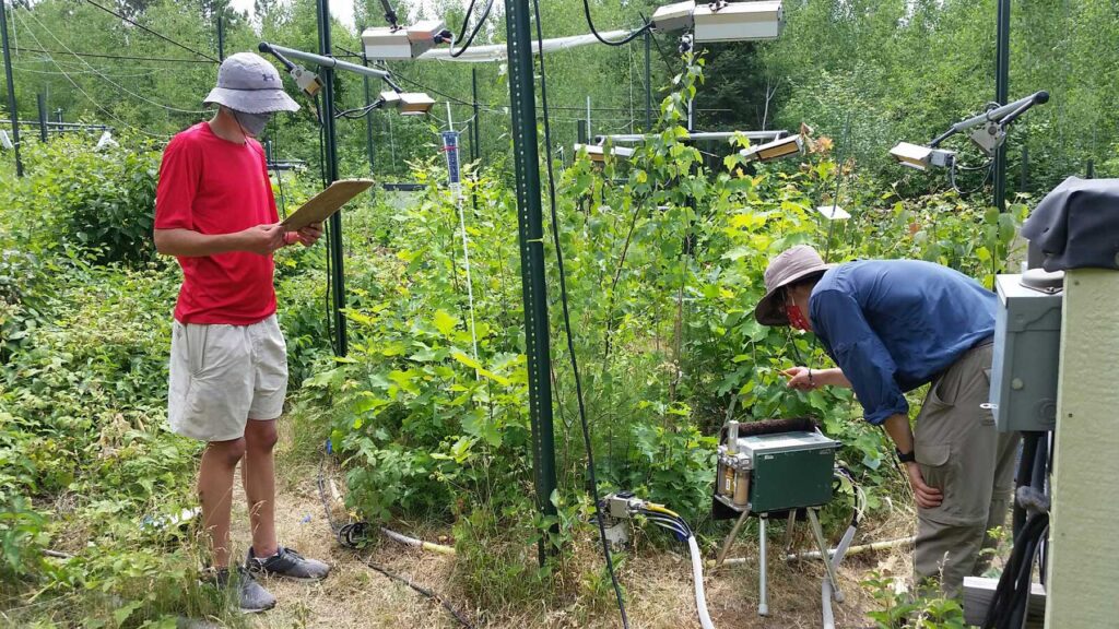 "A Leaky Sink: Carbon Emissions From Forest Soil Will Likely Grow With Rising Temperatures"