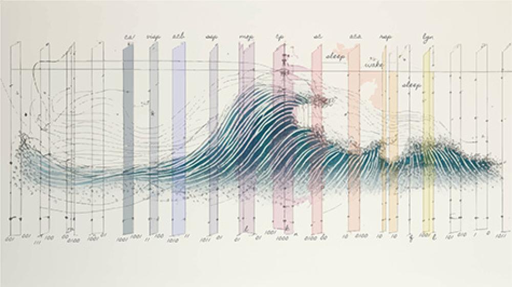 Scientists Find That Small Regions of the Brain Can Take Micro-Naps While the Rest of the Brain is Awake and Vice Versa