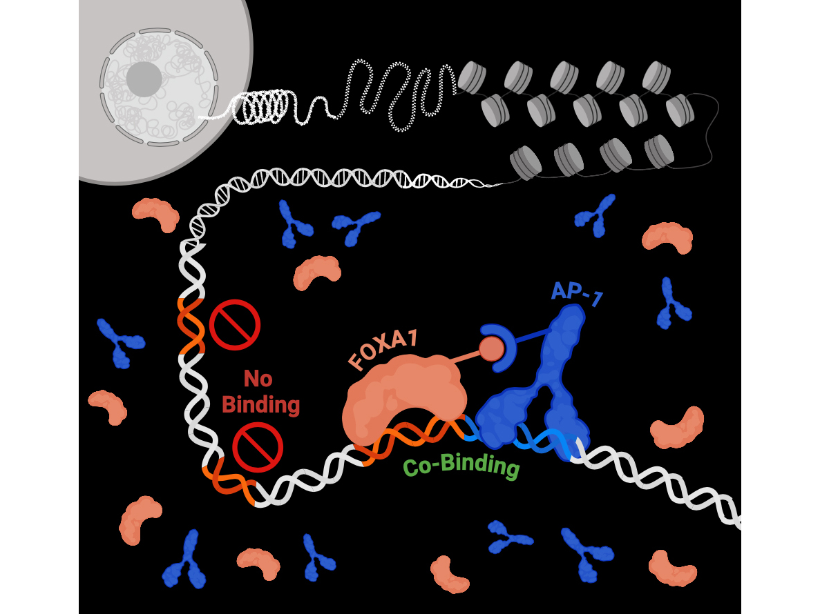 Genomic Pioneers Collaborate to Access the Inaccessible
