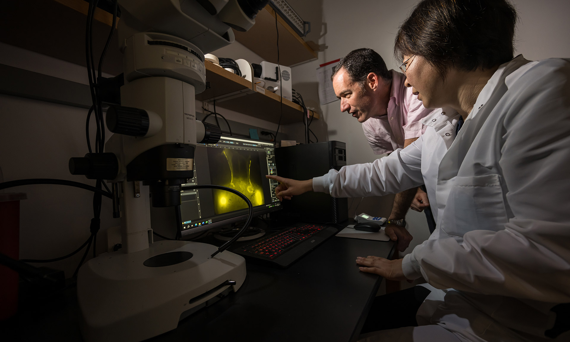 Cleaning Up the Aging Brain