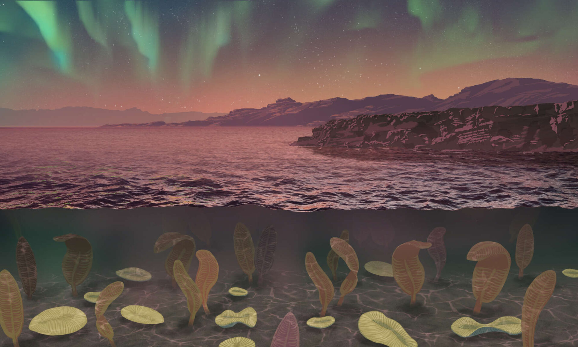 Did a Magnetic Field Collapse Trigger the Emergence of Animals?