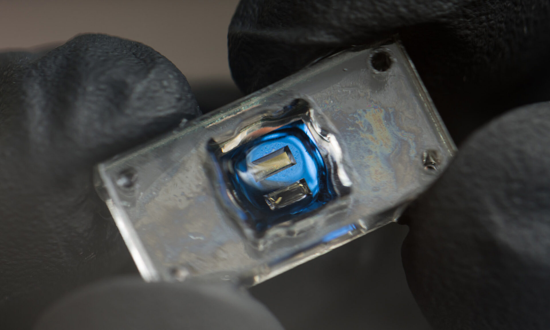 Scientists Developing Microchips With Brain and Lung Tissue to Study Viral Neuroinflammation
