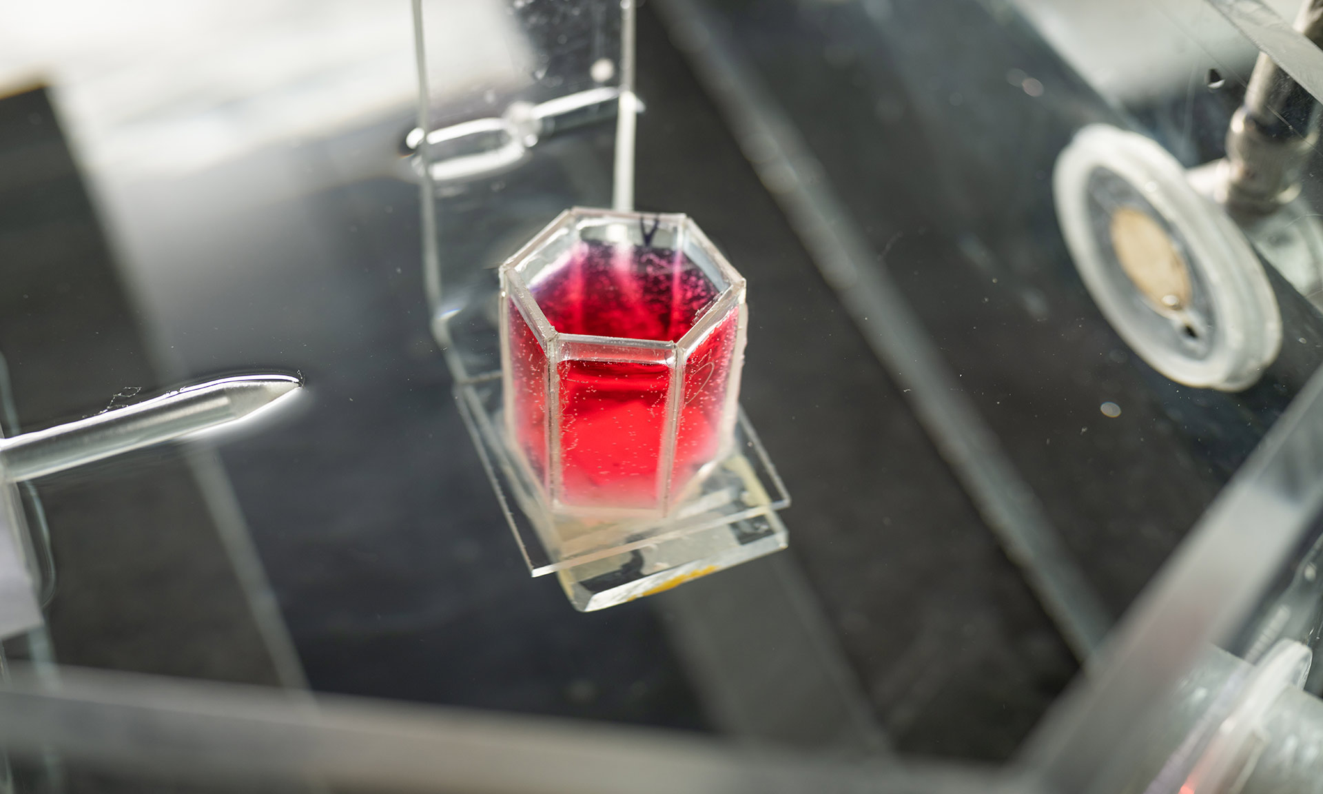 Scientists Leverage Ultrasound to Build New Blood Vessels in Living Tissue