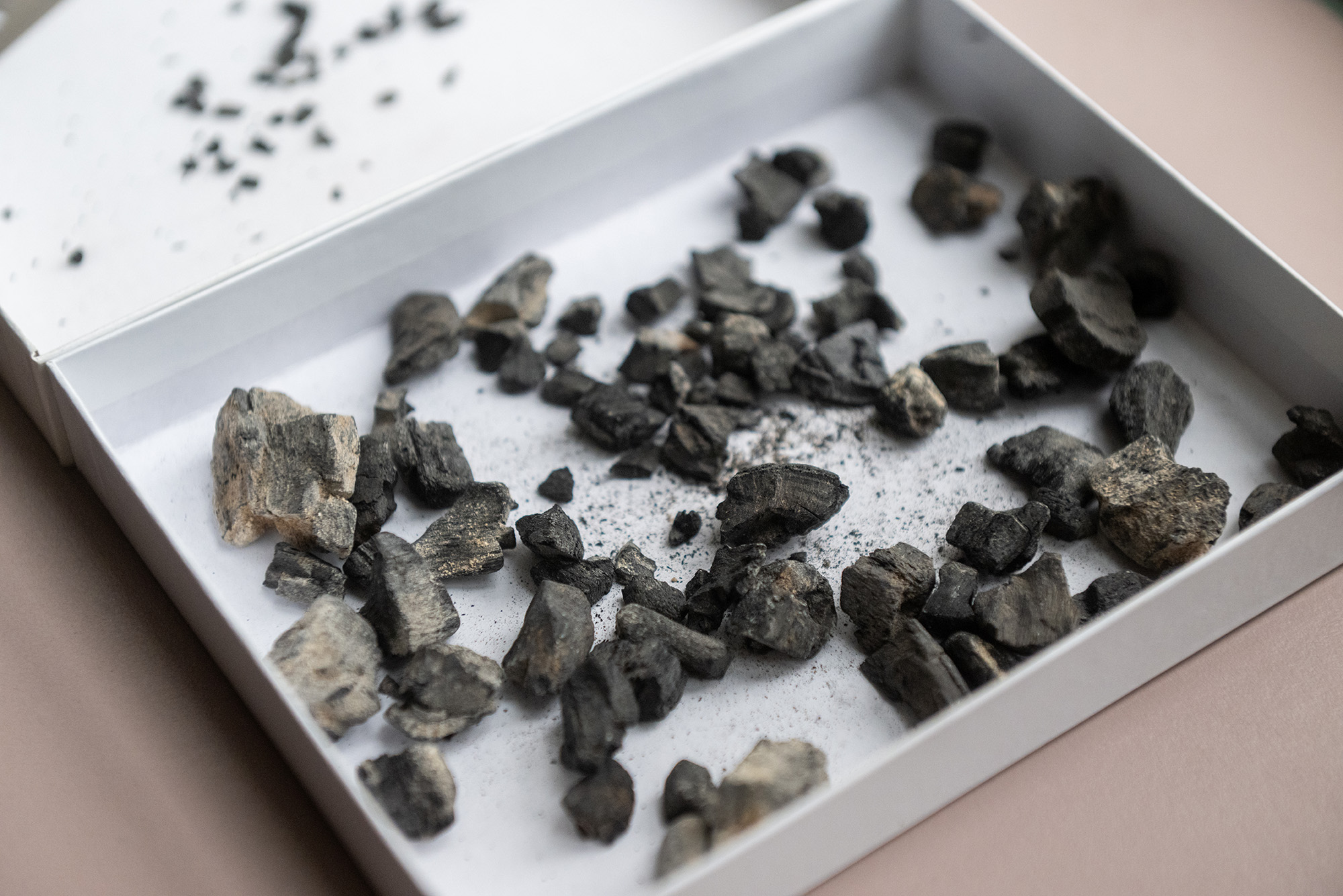 "Secrets of Ancient Egyptian Nile Valley Settlements Found in Forgotten Treasure"