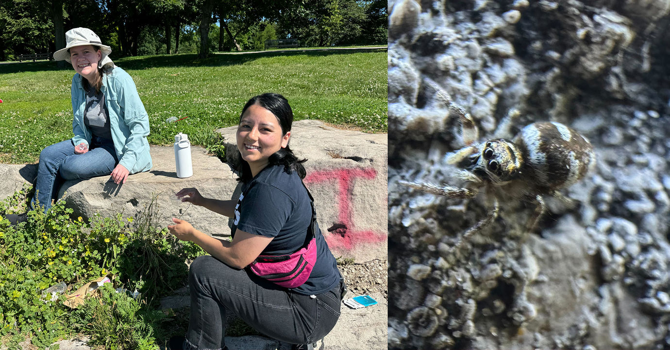 "Uchicago Biophysicist Traces the Relationship Between Habitat and Animal Movement"