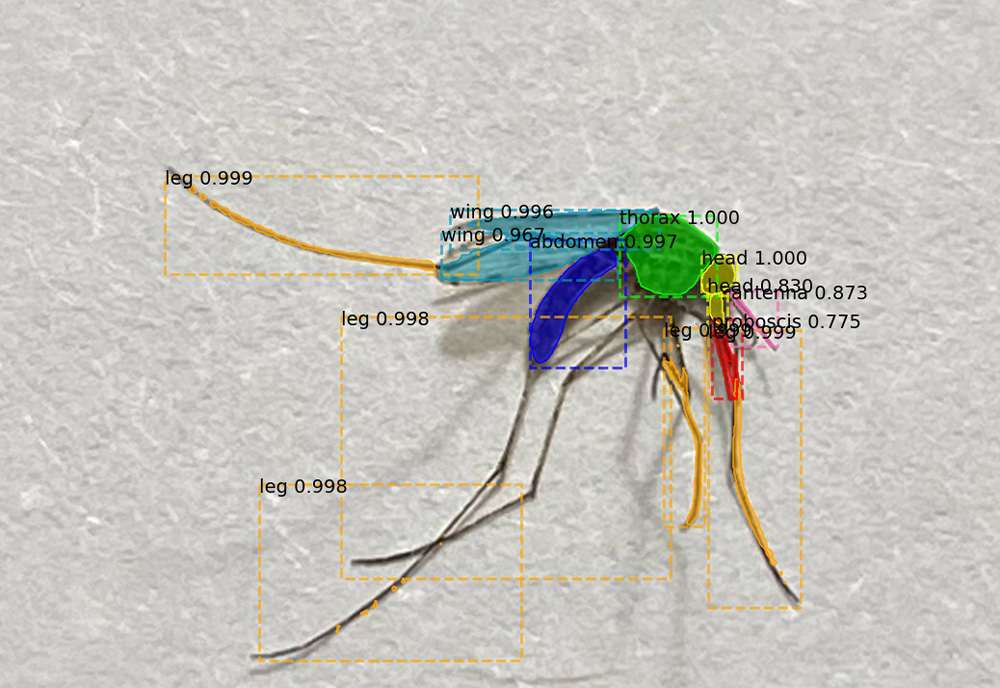 USF Using AI to Help Combat Malaria in Africa