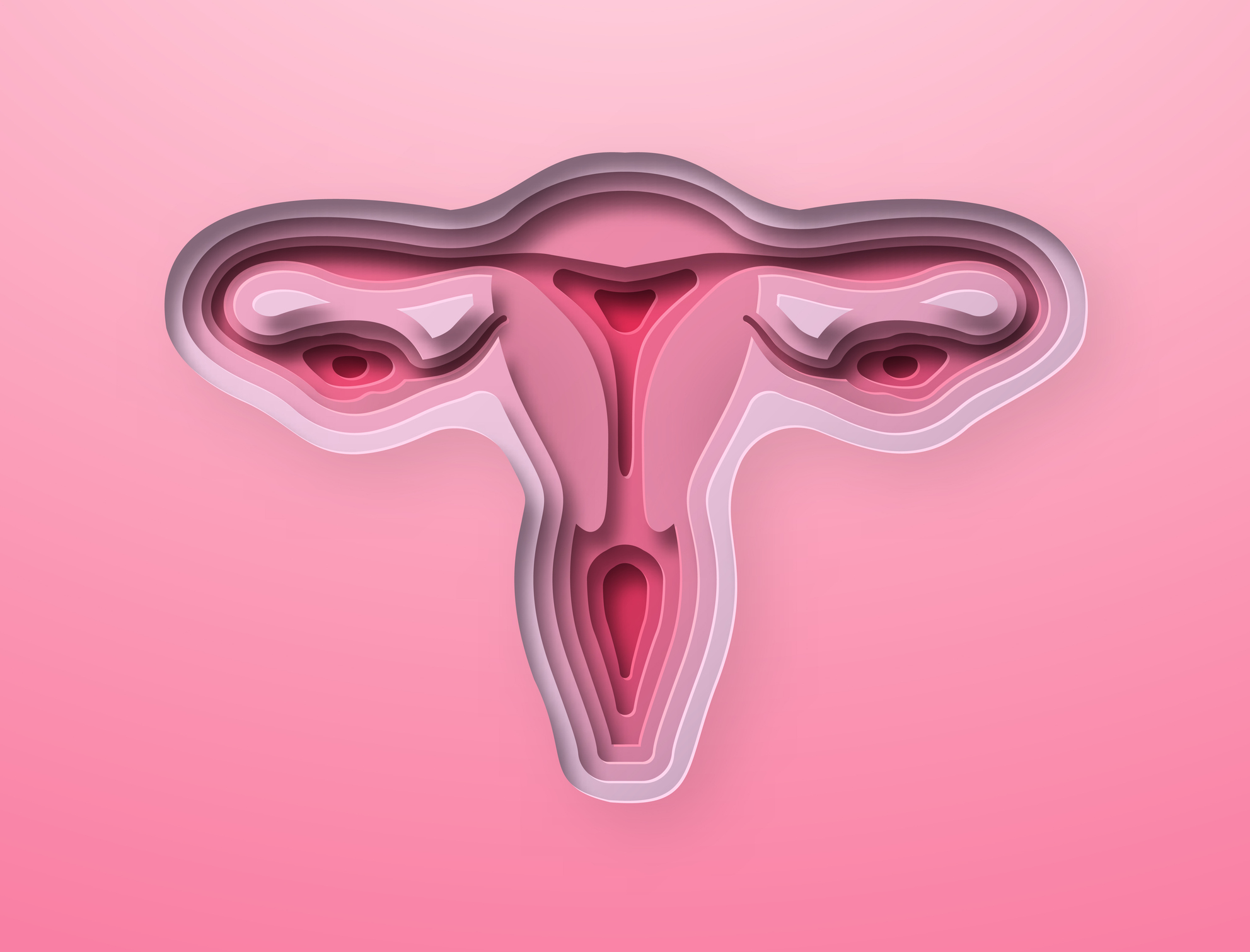Stem Cell Research Uncovers Clues to Tissue Repair That Could Help Heal the Uterus and More