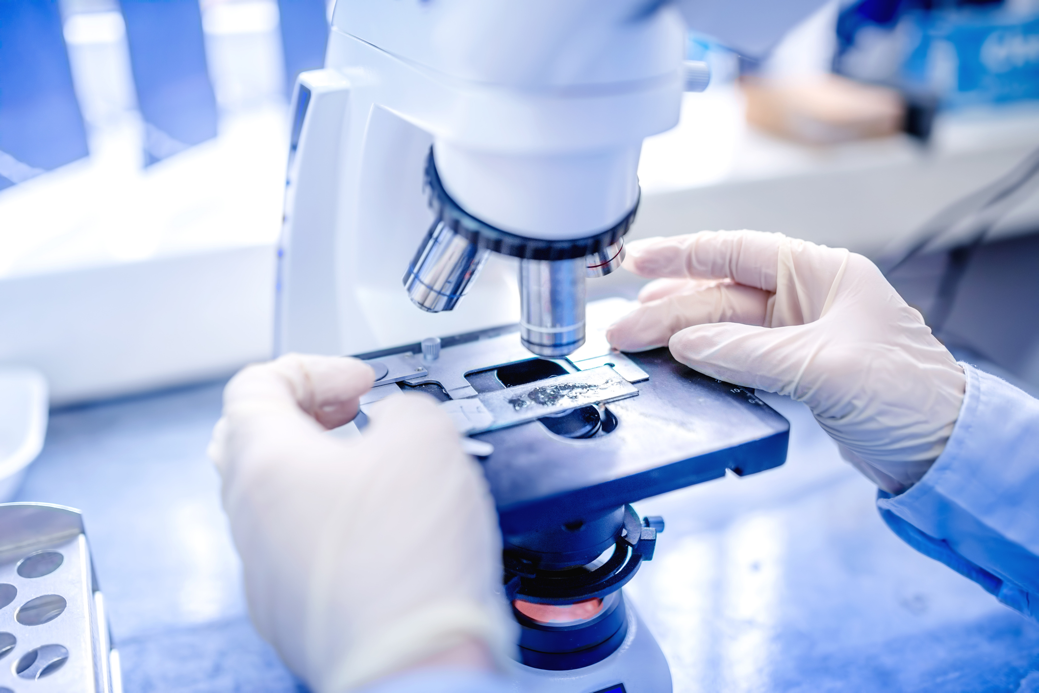 UC Santa Cruz Researchers’ Tool Creates ‘Synthetic’ Images Of Cells For Enhanced Microscopy Analysis