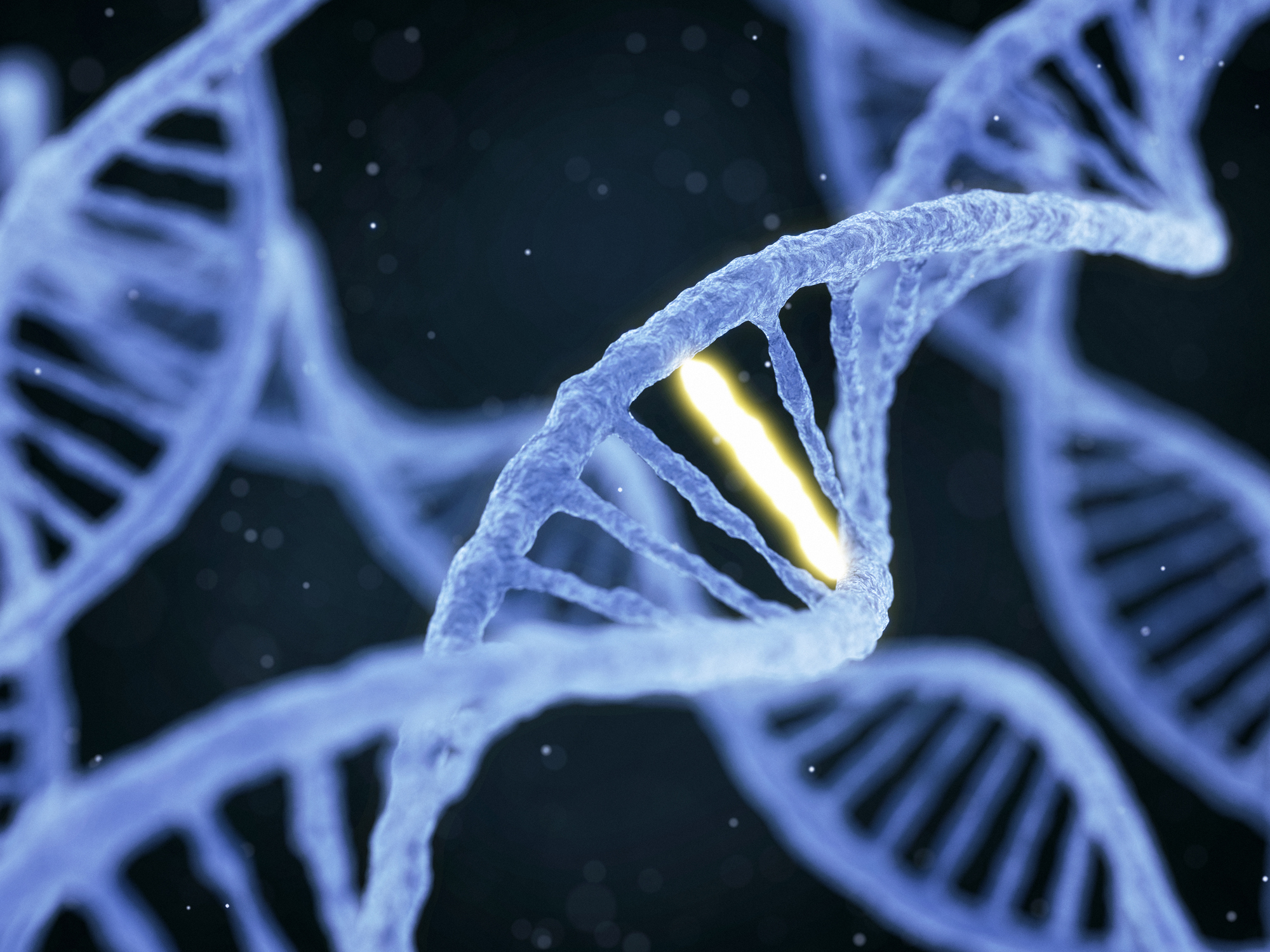 How Genes Shape Personality Traits: New Links Are Discovered