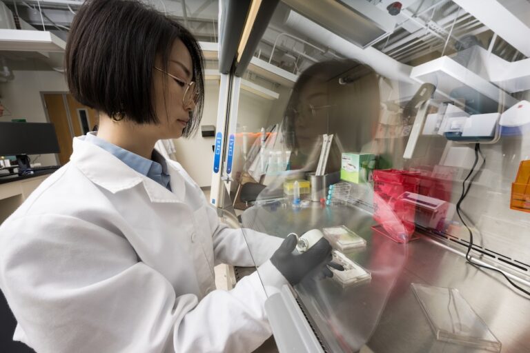 "Scientists Developing Microchips With Brain and Lung Tissue to Study Viral Neuroinflammation"