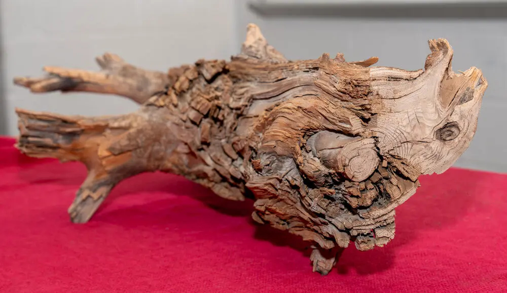 "A Professor’s Discovery of a Nearly 4,000-Year-Old Buried Log Suggests a New Climate Change Solution"