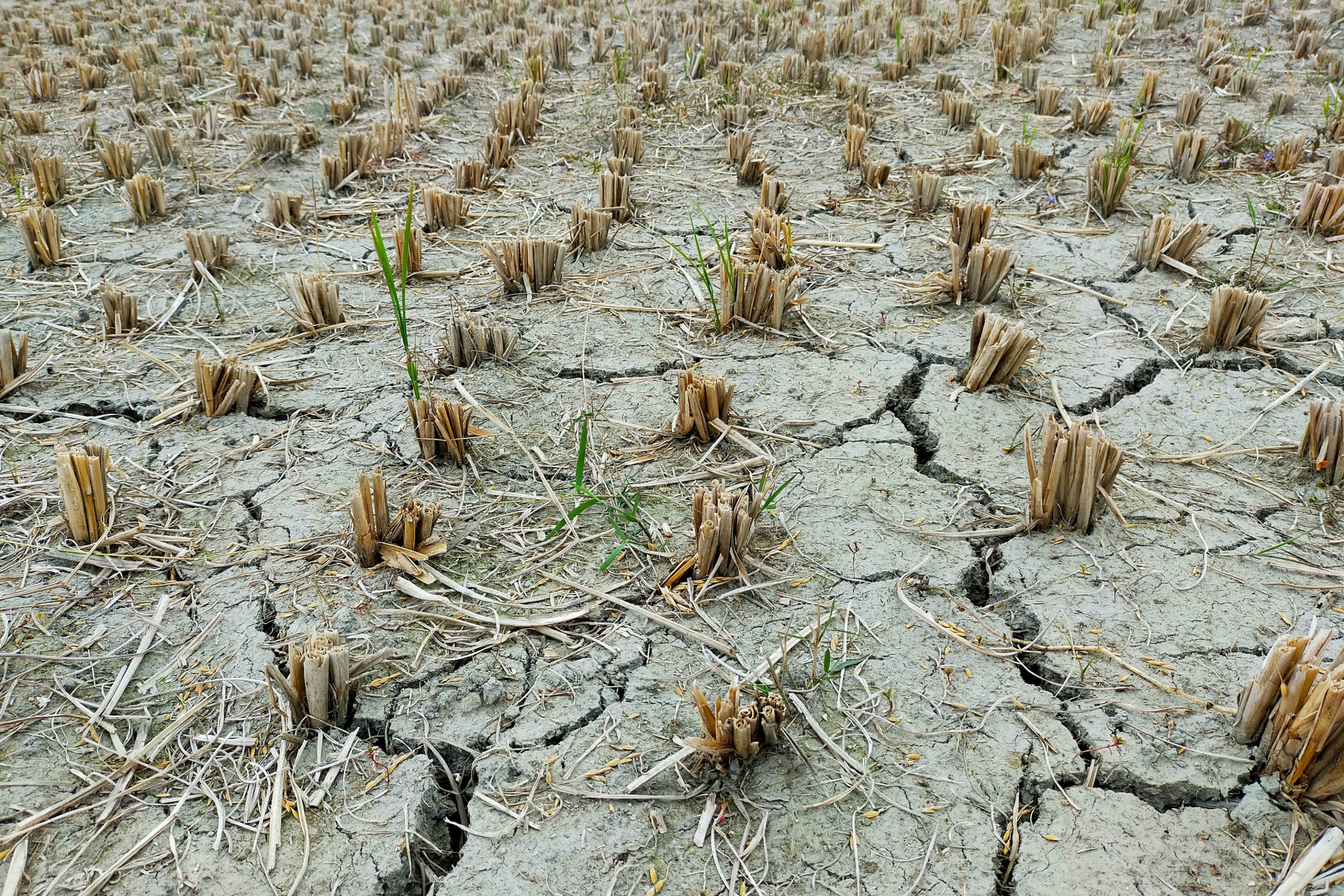 U.S. Drought-Monitoring System Outpaced by Climate Changes