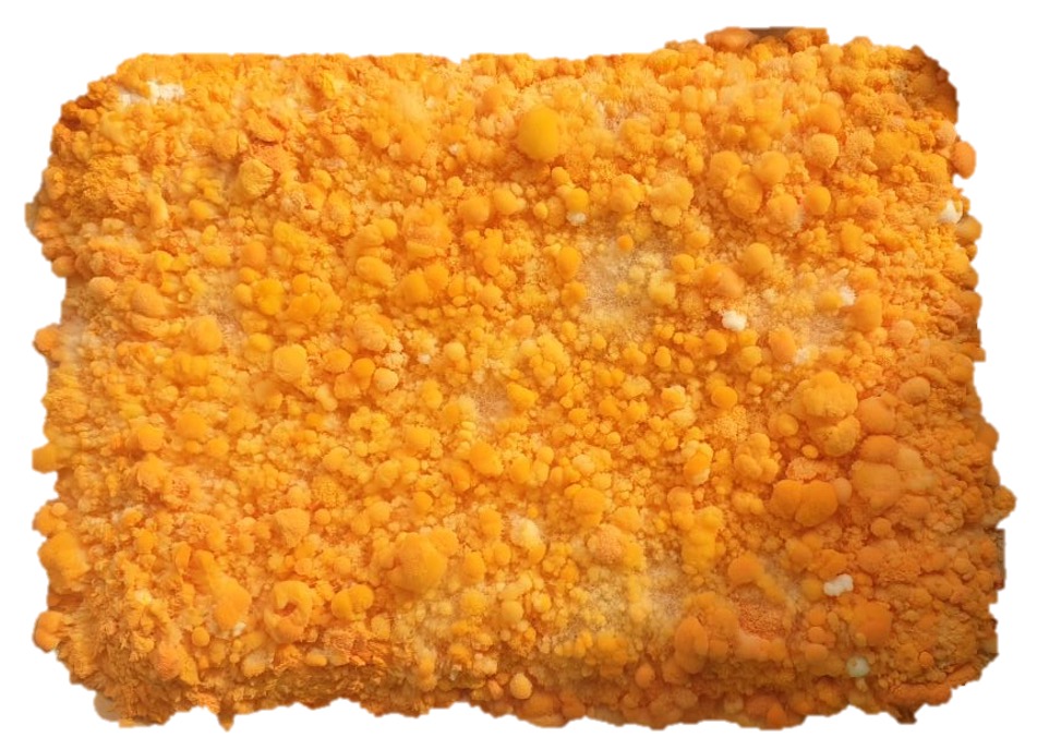 "Can Fungi Turn Food Waste Into the Next Culinary Sensation?"