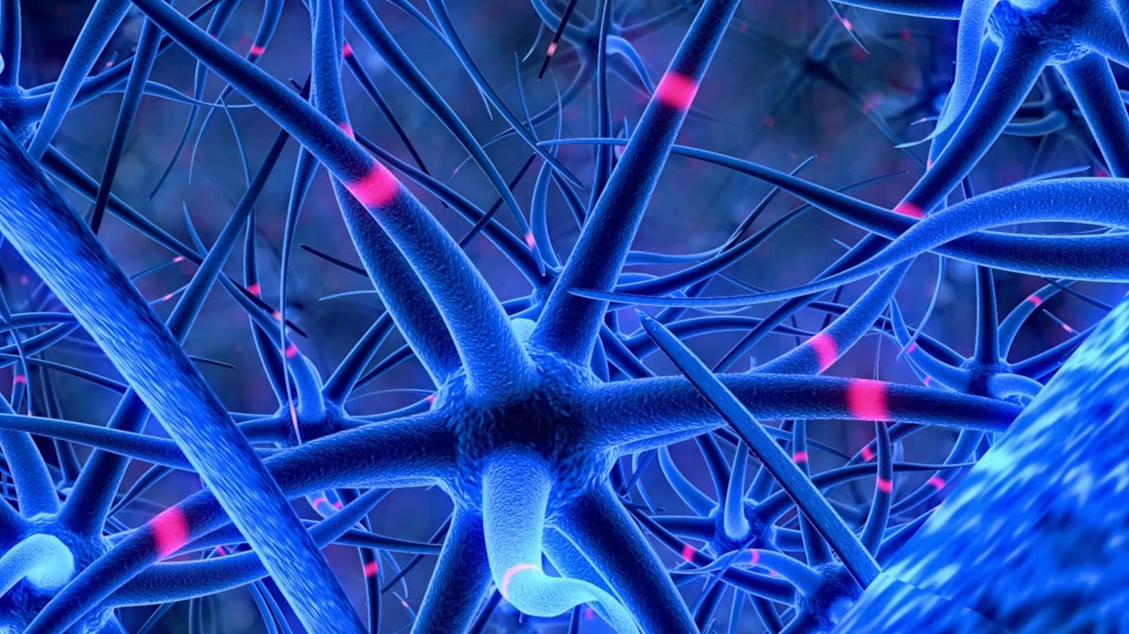 "Mapping an Entire (Fly) Brain: a Step Toward Understanding Diseases of the Human Brain"