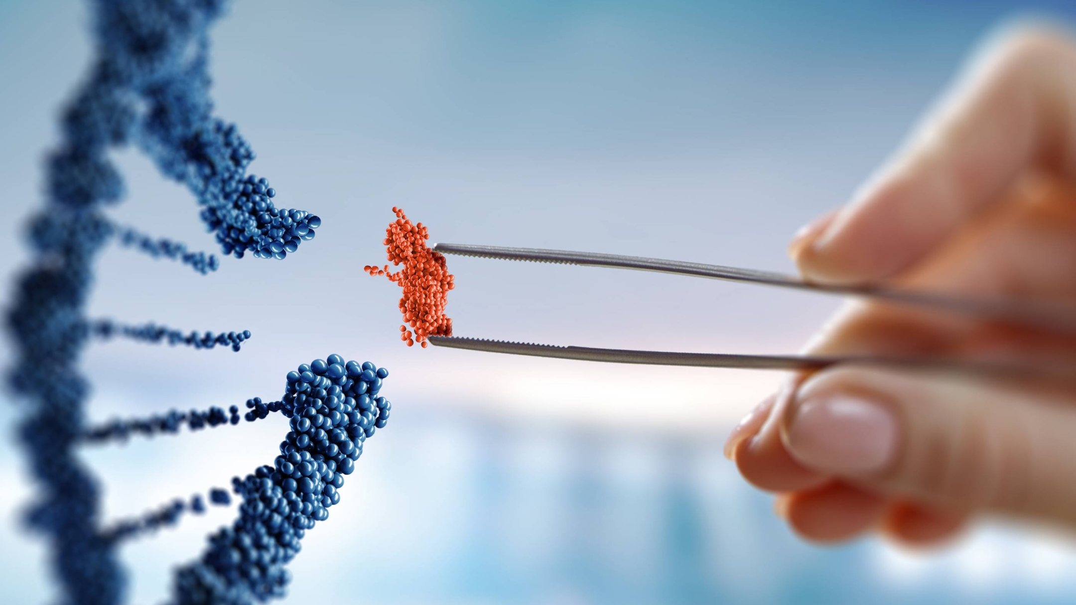Using Advanced Genetic Techniques, Scientists Create Mice With Traits of Tourette Disorder