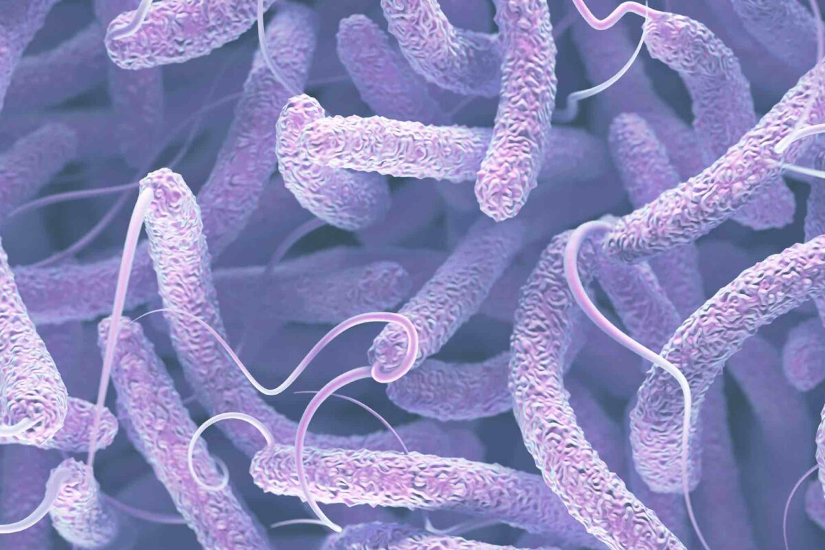 Persistent Strain of Cholera Defends Itself Against Forces of Change, Scientists Find