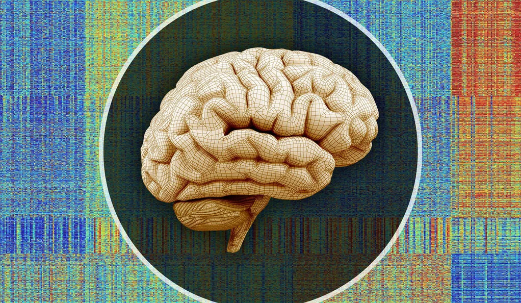 Ketamine Produces Wide Variety of Responses in the Brain, Researchers Find