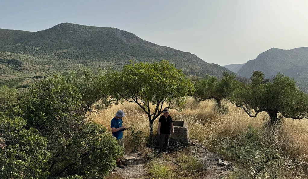 Blend of Machine Learning, Botany Unlocks Secrets of Ancient Greece