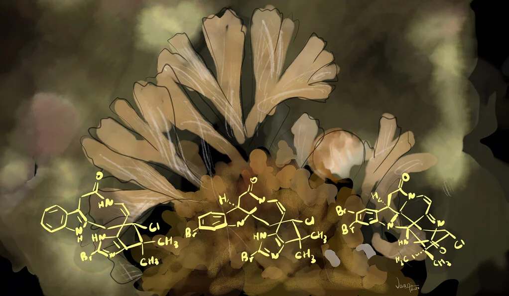 Yale Chemists Synthesize Unique Anticancer Molecules Using Novel Approach