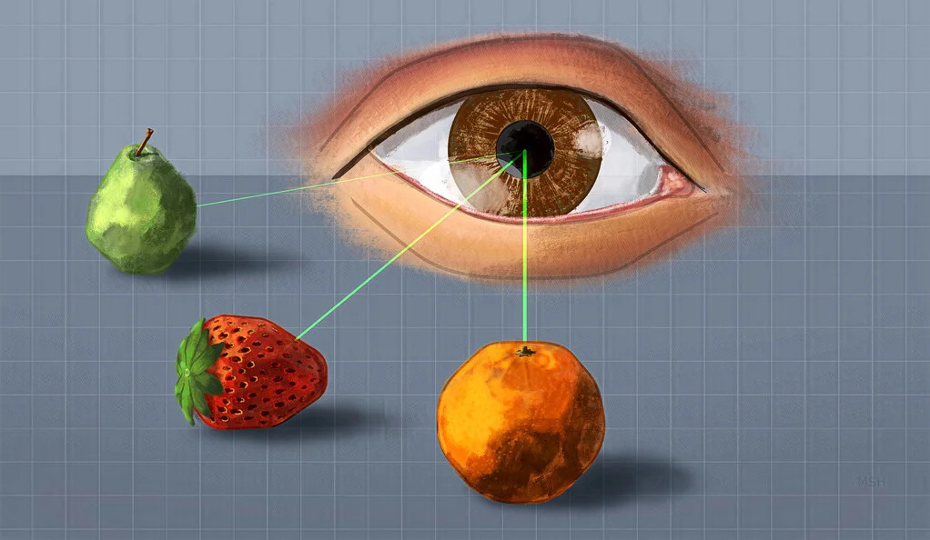 ‘Visual Clutter’ Alters Information Flow in the Brain