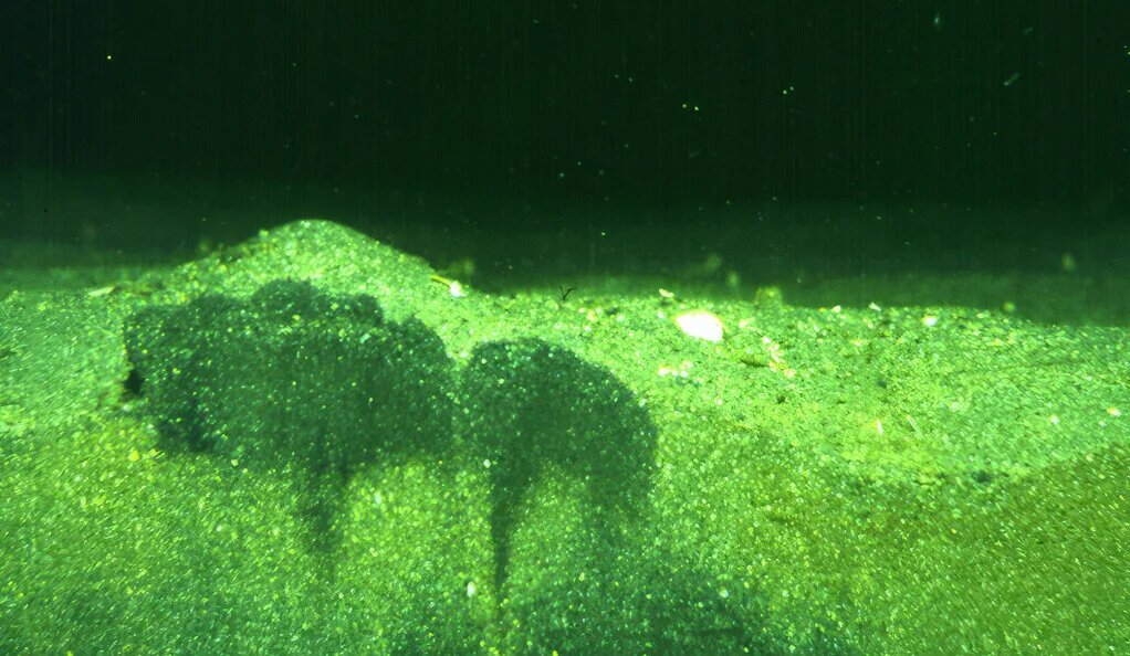 Mapping the Seafloor Sediment Superhighway