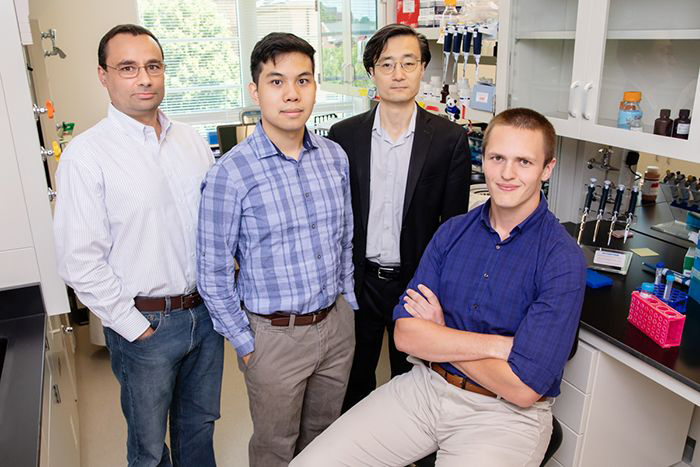Image: University of Illinois researchers