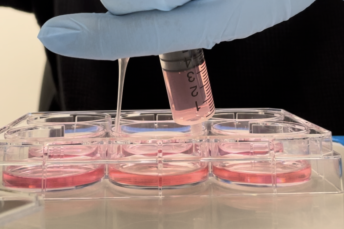 An NYU researcher administers chemical signals to non-neural cells grown in a culture plate. Photo credit: Nikolay Kukushkin.