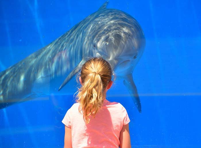 Young girl at an aquarium